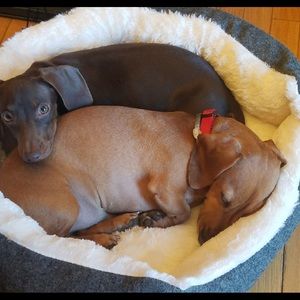 Meet your Posher, Courtney